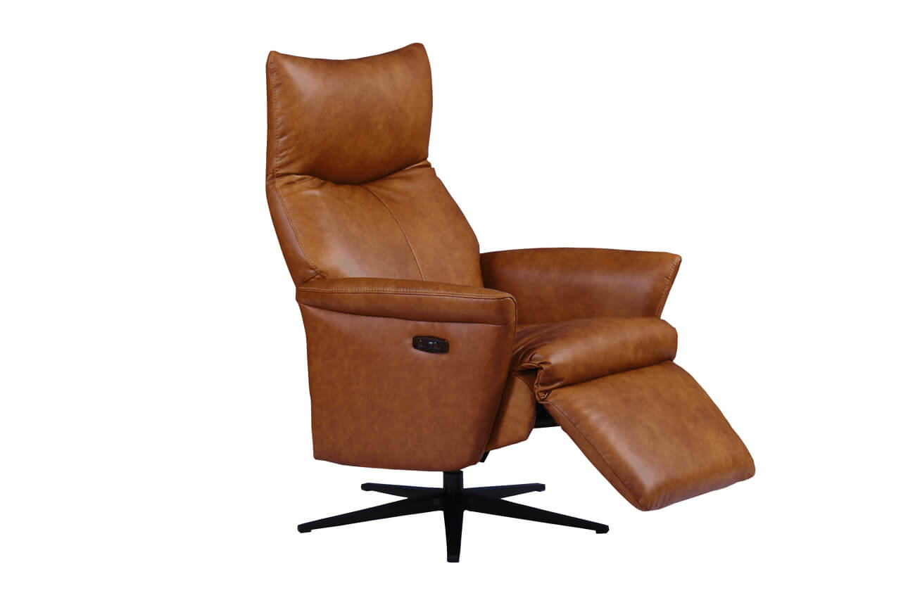 Leandro Electric Recliner Accent Chair
