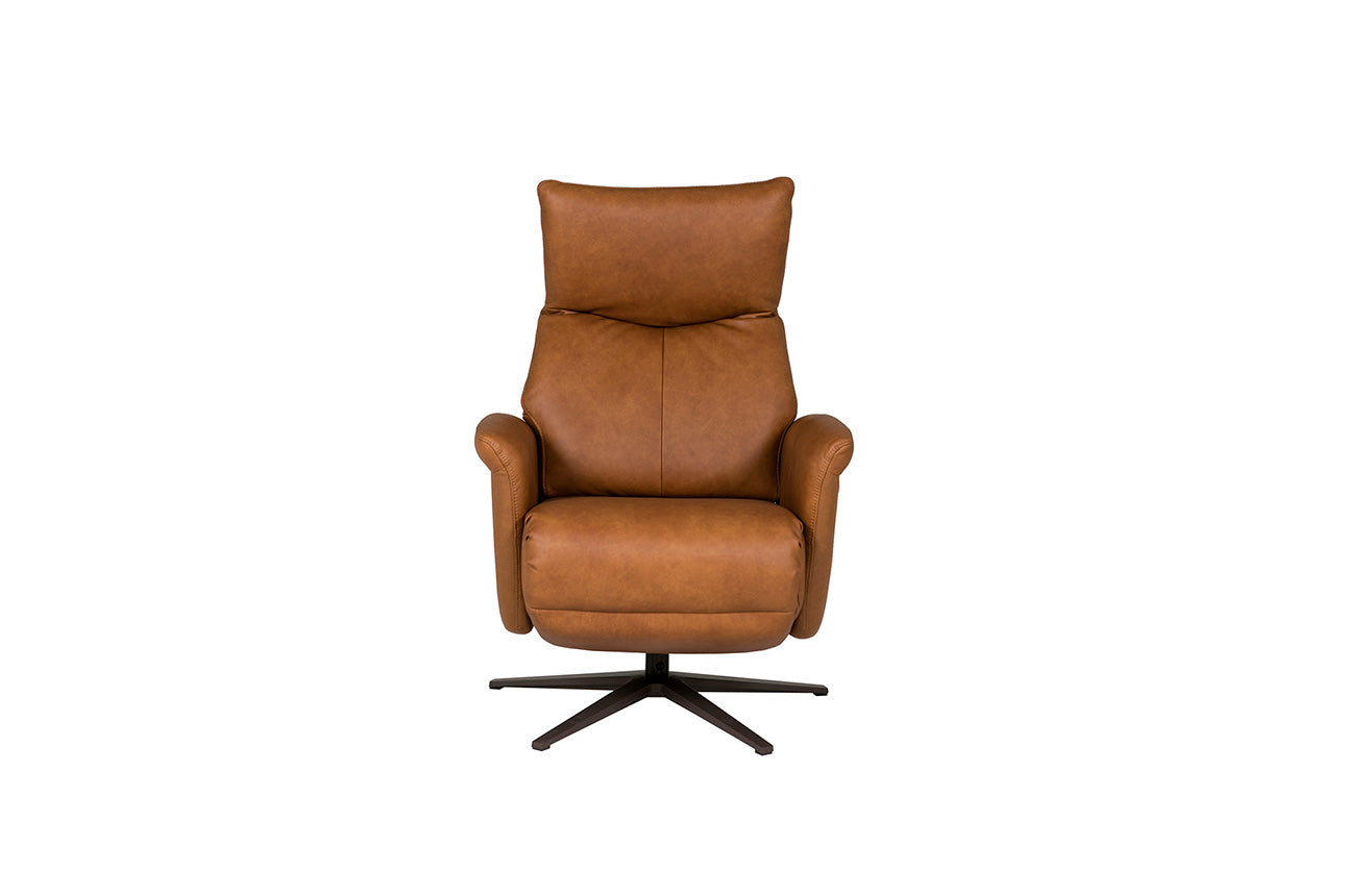 Leandro Electric Recliner Accent Chair