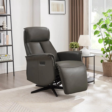 Riya Ash Leather Swivel Power Recliner Chair